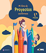 1° PREECO - Proyectos